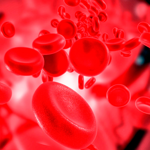 ANEMIA-2