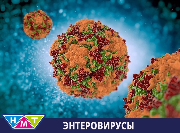 Летняя болезнь