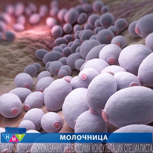 МОЛОЧНИЦА